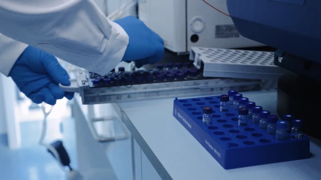 1727696168567023307.jpg 3.jpg